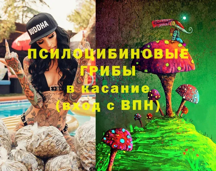 цена   Донской  Галлюциногенные грибы Magic Shrooms 